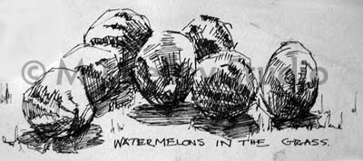 Watermelons in the Grass by M-J Kelley (pen and ink)