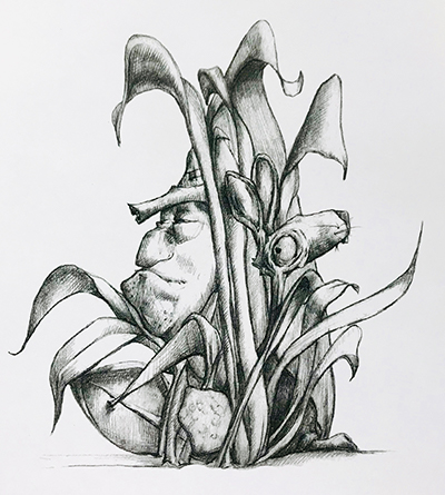 M-J Kelley's drawing of Peter Rabbit hiding from Mr. McGregor. Graphite.